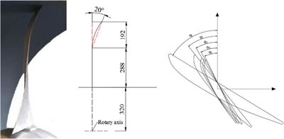 Structure and Topology Analysis of Separated Vortex in Forward-Swept Blade